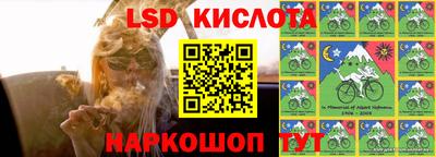 ПСИЛОЦИБИНОВЫЕ ГРИБЫ Кандалакша